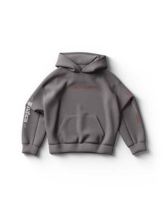Perfect Celebrity Gray Hoodie